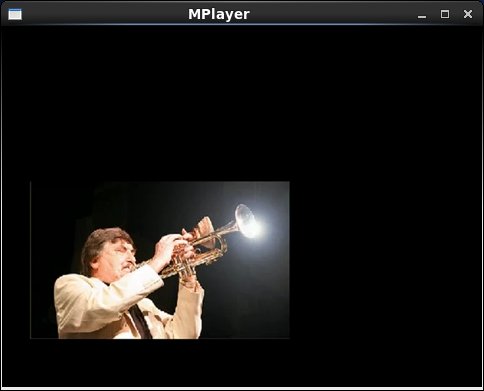 mplayer画像